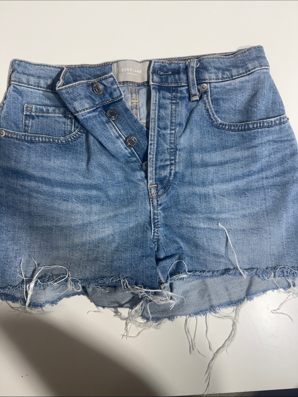 Everlane Light Blue Distressed Denim Cutoff Shorts